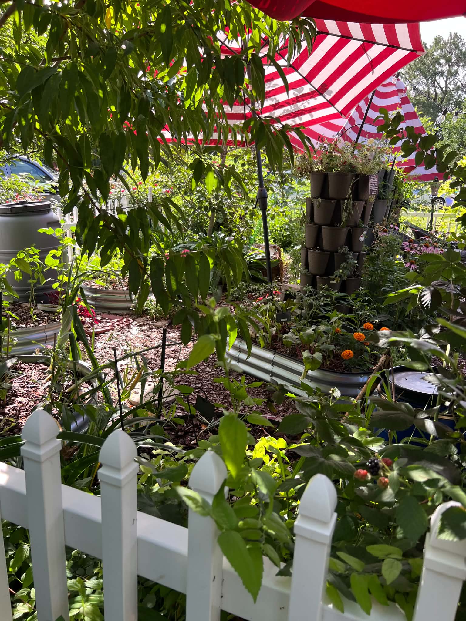 Diane's Place in the Garden