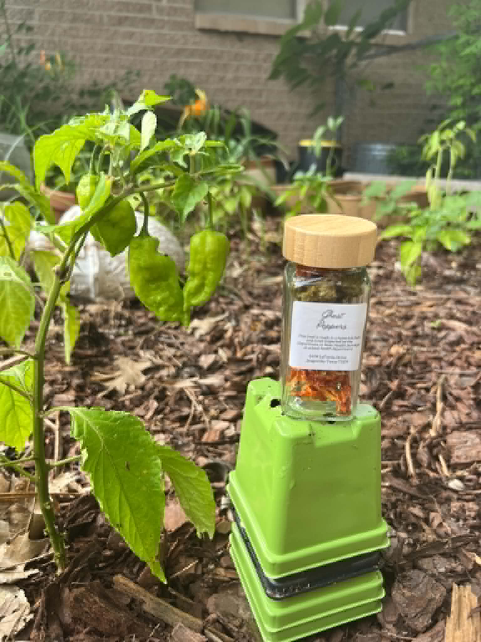 Ghost Peppers