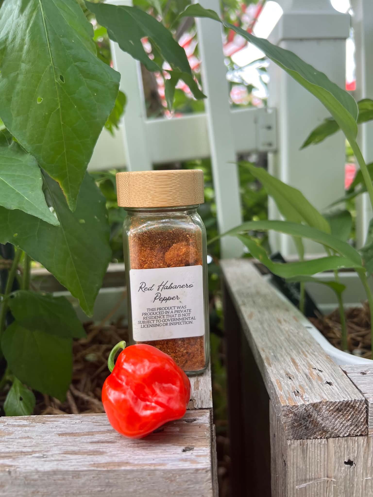 Sweet Peppers